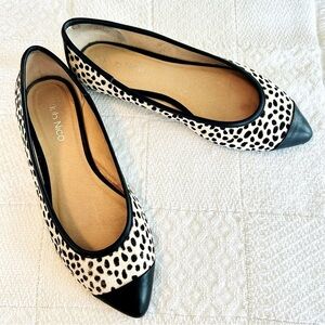 Klub Nico Flats Grace Calf-Hair Ballet Black and White Animal Print size 8M